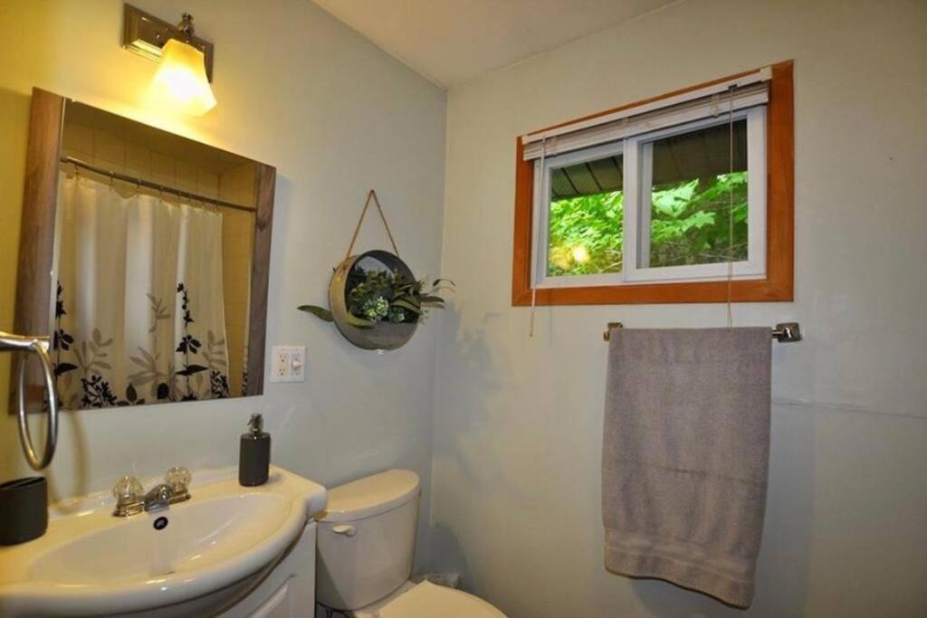 فيلا Muskoka Manor Dwight المظهر الخارجي الصورة