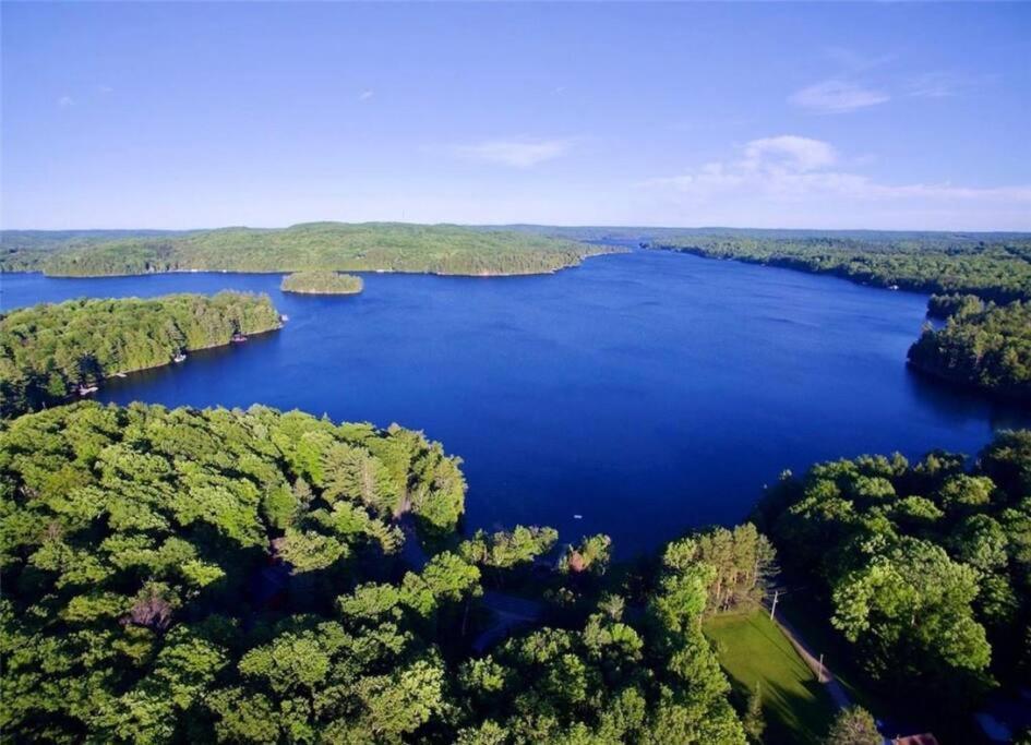 فيلا Muskoka Manor Dwight المظهر الخارجي الصورة