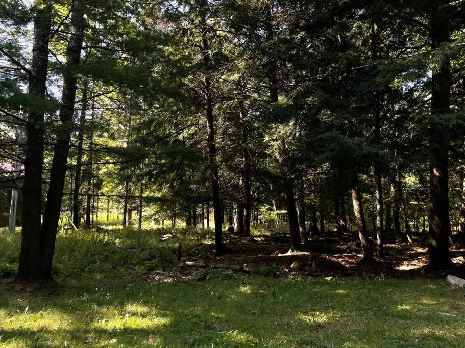 فيلا Muskoka Manor Dwight المظهر الخارجي الصورة